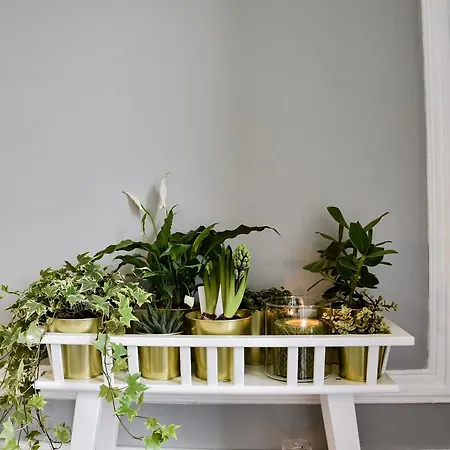 Estrela By Hygge Lissabon