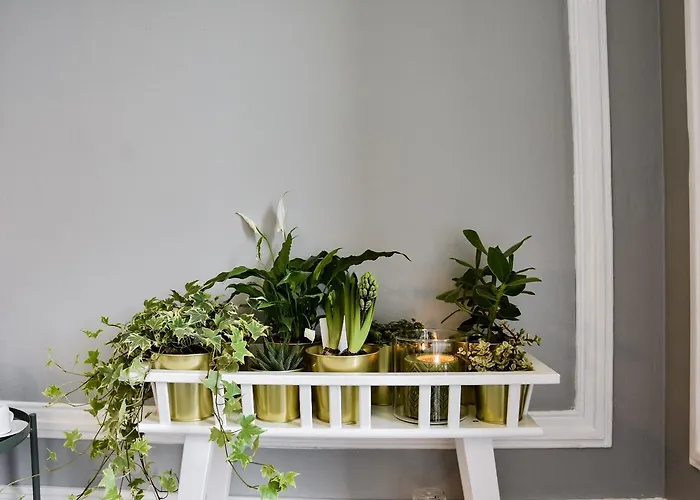 The Hygge - Estrela Lisboa